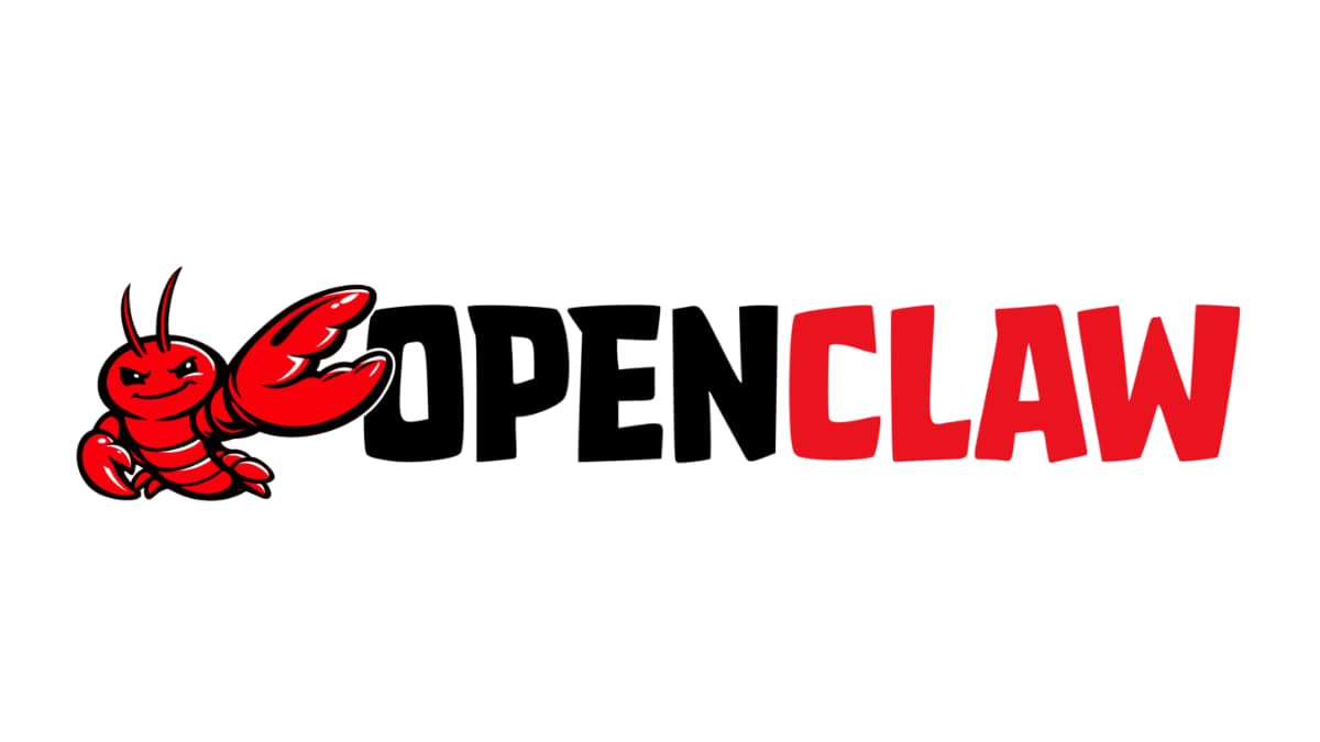 OpenClaw setup — portfolio screenshot